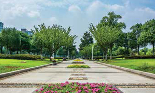 RG Pleiaddes Noida